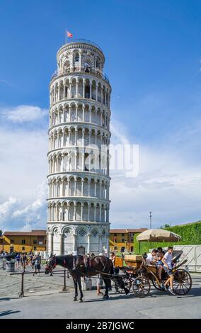 Des balades en autocar à cheval au campanile, le clocher autonome de la cathédrale de Pise sur la Piazza dei Miracoli, l'emblématique tour penchée de Pise, Banque D'Images