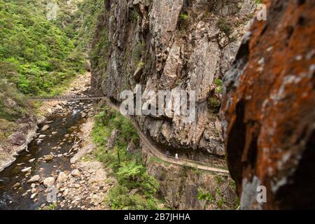 Passerelle dans la gorge de Karangahake Banque D'Images