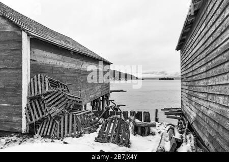 Étapes, utilisées pour la maison de matériel de pêche et pour traiter les appâts et les poissons, avec des homards, dans l'ancien village de pêche de Dunfield à Terre-Neuve, Canada [ Banque D'Images