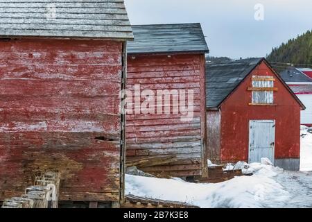 Étapes, utilisées pour la maison de l'équipement de pêche et le traitement des appâts et des poissons, dans l'ancien village de pêcheurs de Dunfield, à Terre-Neuve, au Canada [pas de mainlevée de propriété Banque D'Images