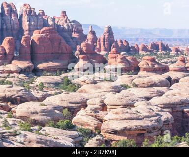 Pinnacles en grès, Chesler Park, The Needles District, Canyonlands National Park, Utah, États-Unis Banque D'Images