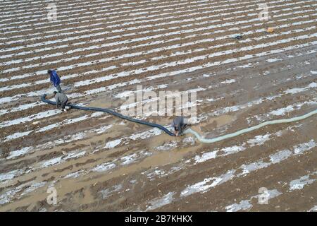 Les agriculteurs irriguent une terre agricole dans le comté de Guanyun, ville de Lianyungang, province du Jiangsu en Chine orientale, 10 février 2020. Banque D'Images