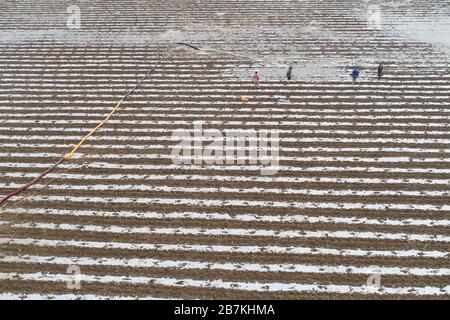 Les agriculteurs cultivent des semences sur une terre agricole du comté de Guanyun, ville de Lianyungang, province du Jiangsu en Chine orientale, 10 février 2020. Banque D'Images