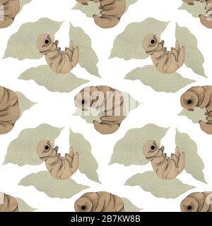 Tardigrades à motif aquarelle sans coutures, joli ours en eau Banque D'Images