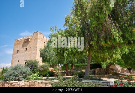 Vue sur l'arbre en fleurs de Callistemon dans le jardin du château de Kolossi. Kolossi. District de Limassol. Chypre Banque D'Images