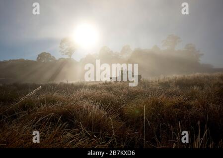 Ferme ute le matin lumière du soleil. Agriculteur sur la terre. Banque D'Images