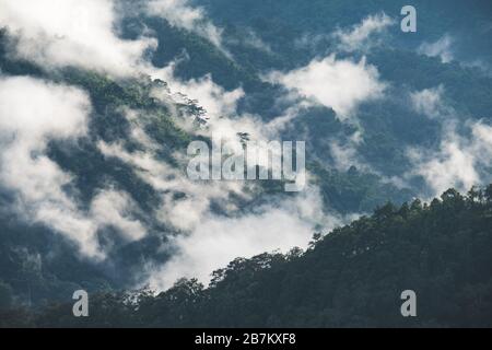 Paysage image des collines verdoyantes de la forêt tropicale dans une journée de brume avec fond bleu ciel Banque D'Images