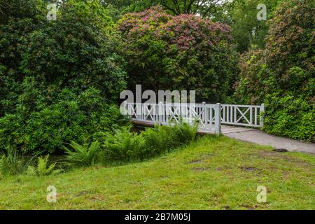 Jardin du château de Luetetsburg, Frise orientale, Basse-Saxe, Allemagne Banque D'Images