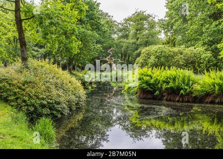 Jardin du château de Luetetsburg, Frise orientale, Basse-Saxe, Allemagne Banque D'Images