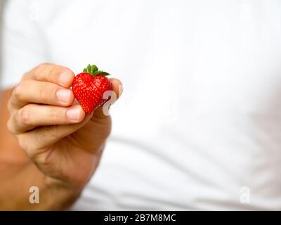 Forme de coeur fraise dans les mains de l'homme sur un fond de chemise blanche, représentant saine alimentation ou santé cardiovasculaire, l'amour. Banque D'Images