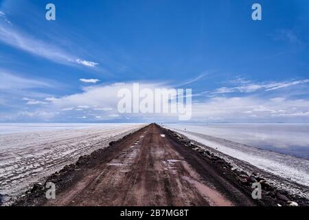 Route de sel avec des marqueurs à Salar de Uyuni Bolivie Banque D'Images