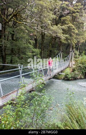 Le Routeburn Track est un circuit classique de tramping dans les Alpes du Sud de New Zealands. Banque D'Images