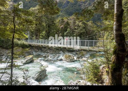 Le Routeburn Track est un circuit classique de tramping dans les Alpes du Sud de New Zealands. Banque D'Images