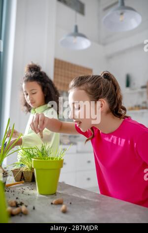 Une jeune fille plantant des graines dans un pot à la maison. Banque D'Images