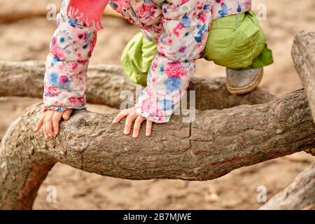 Une petite partie d'une fille caucasienne dans des vêtements chauds grimpant sur d'énormes racines d'un pin au début du printemps en mars en Allemagne Banque D'Images