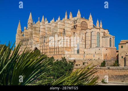 Cathédrale de Palma la Seu, Palma de Majorque, Majorque, Iles Baléares, Espagne, Europe Banque D'Images