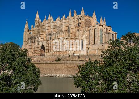 Cathédrale de Palma la Seu, Palma de Majorque, Majorque, Iles Baléares, Espagne, Europe Banque D'Images