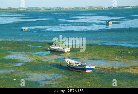 Marée basse et bateaux. Puerto Real, province de Cadix, Andalousie, Espagne. Banque D'Images