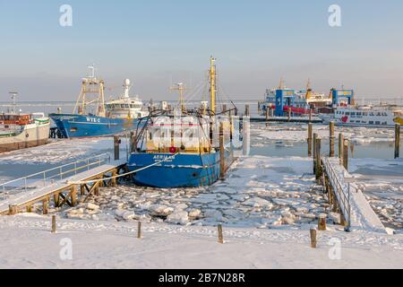 Habour recouvert de glace en hiver extrêmement froid, île de Föhr, Mer du Nord, Patrimoine mondial de l'UNESCO, Frise du Nord, Schleswig-Holstein, Allemagne du Nord, Europe Banque D'Images