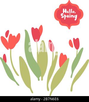 Tulipes isolées sur fond blanc. Bouquet de tulipes rouges et roses. Clipart vectoriel. Idéal pour les invitations, les cartes de vœux, le décor. Ensemble de fleurs Illustration de Vecteur