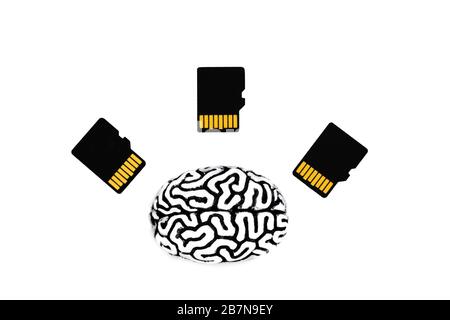 Modèle de cerveau humain en acier avec trois cartes sd reposant sur un fond blanc. Concept de formation, d'éducation et de transfert des connaissances du cerveau. Banque D'Images