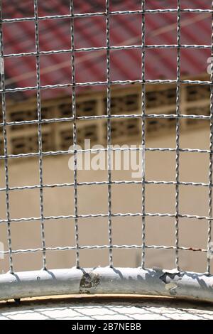 Cage à barbelés de champignons à l'intérieur de la détention dans une cage en acier, grille carrée en métal pour éviter les entailles Banque D'Images