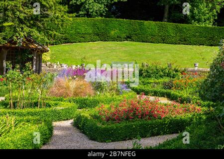 Couleur de Summer dans le jardin des roses à Tyntesfield House, nr Wraxall, Somerset Nord, Angleterre, Royaume-Uni Banque D'Images