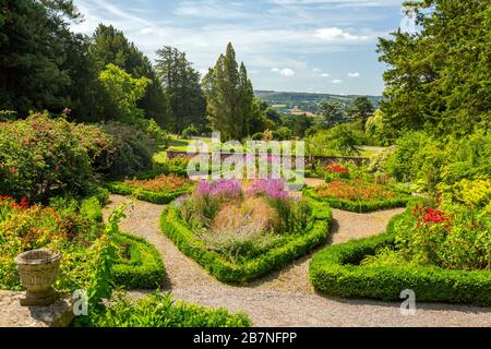 Couleur de Summer dans le jardin des roses à Tyntesfield House, nr Wraxall, Somerset Nord, Angleterre, Royaume-Uni Banque D'Images