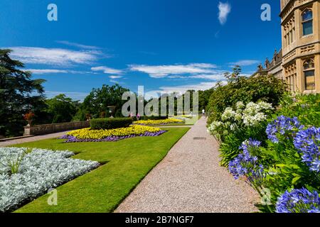 Un affichage coloré des plantes de literie d'été dans les jardins officiels à l'extérieur de Tyntesfield House, nr Wraxall, North Somerset, Angleterre, Royaume-Uni Banque D'Images