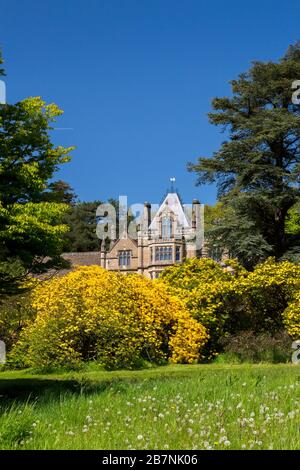 Architecture victorienne gothique de Revival et azalées colorées à Tyntesfield House, nr Wraxall, Somerset Nord, Angleterre, Royaume-Uni Banque D'Images