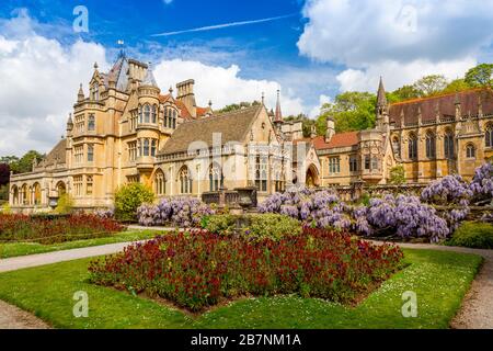 Un affichage coloré de la wisteria et des fleurs murales dans le jardin à Tyntesfield House, Somerset Nord, Angleterre, Royaume-Uni Banque D'Images