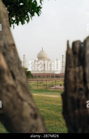 Taj Mahal, Agra vue à travers l'arbre et le jardin en face Banque D'Images