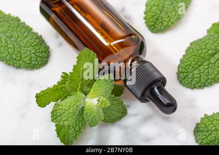 Bouteille d'huile essentielle à la menthe poivrée sur table en marbre. Huile de menthe médecine naturelle Banque D'Images