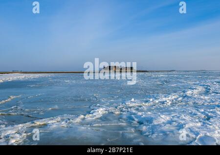 Ile de Hallig Langeness, Mer du Nord, Patrimoine mondial de l'UNESCO, Frise du Nord, Schleswig-Holstein, Allemagne, Banque D'Images