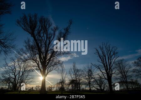 Magdeburg, Allemagne. 17 mars 2020. Un sportif de loisirs qui fait du jogging à travers le Rotehornpark sur les rives de l'Elbe peu avant le coucher du soleil. D'innombrables marcheurs, cyclistes et sportifs utilisent l'après-midi ensoleillé pour faire de l'exercice à l'extérieur. Il devrait rester ensoleillé et doux dans les jours à venir. Crédit: Klaus-Dietmar Gabbert/dpa-Zentralbild/ZB/dpa/Alay Live News Banque D'Images