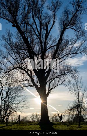 Magdeburg, Allemagne. 17 mars 2020. Les gens vont faire des promenades au coucher du soleil. D'innombrables personnes profitent de l'après-midi ensoleillé pour faire de l'exercice à l'extérieur. Il devrait rester ensoleillé et doux pour les prochains jours. Crédit: Klaus-Dietmar Gabbert/dpa-Zentralbild/ZB/dpa/Alay Live News Banque D'Images