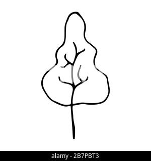 Bel arbre avec des branches intéressantes sur un fond blanc. Journée nationale des forêts. Le concept de conservation de la nature. Printemps ou été Illustration de Vecteur