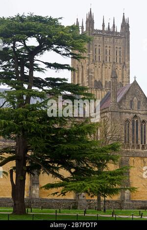 Une vue dynamique depuis les murs du palais des évêques, en face des jardins, vers la cathédrale de Wells dans la ville de Wells, Somerset, Angleterre Royaume-Uni Banque D'Images