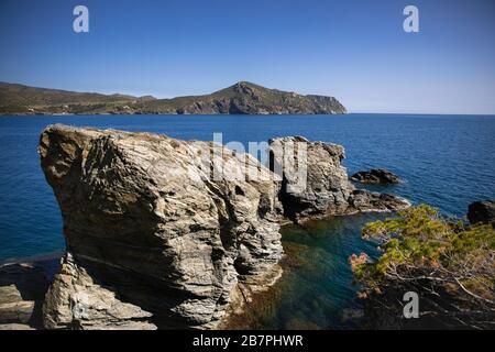 Punta del Turment, près de Cala Monjoi. Costa Brava, Gérone, Espagne. Banque D'Images