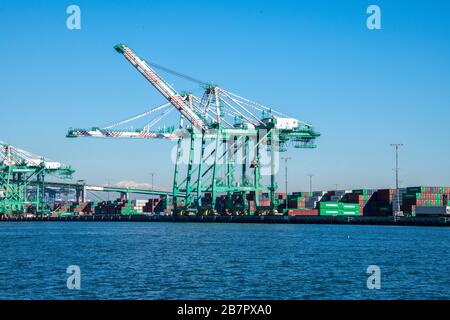 Port de Los Angeles, Californie États-Unis 6 septembre 2018, quai de chargement Evergreen, grues terminaux, conteneurs d'expédition et aucun navire à conteneurs Banque D'Images