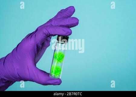 Concept de Covid-19. Le microbiologiste porte des gants stériles avec un tube d'échantillon biologique contaminé par le coronavirus Banque D'Images