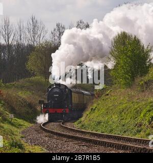 La locomotive à vapeur 53808 qui tire un train de voyageurs après le point de passage à Sandhill sur le chemin de fer Somerset ouest, près des évêques Lydeard, dans le Somerset UK Banque D'Images