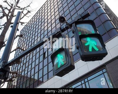 Panneau de passage pour piétons Green MAN à Tokyo, Japon. Banque D'Images
