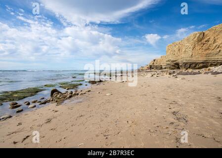 L'après-midi côtier d'hiver au parc naturel Sunset Cliffs. San Diego, Californie, États-Unis. C'est de South Garbage Beach. Banque D'Images