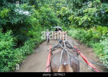 Buggy à cheval sur Muddy Road au Myanmar Banque D'Images