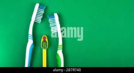 brosses à dents familiales sur fond vert soins buccaux caries prévention espace libre gros plan. Banque D'Images