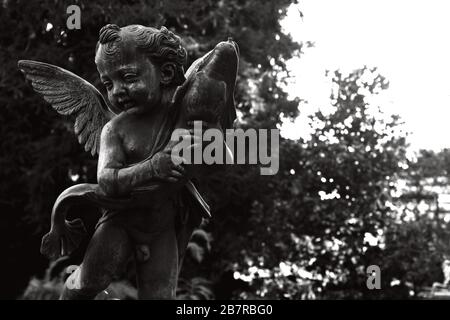 Gros plan en niveaux de gris d'une statue d'ange entourée de verdure sous la lumière du soleil dans le jardin Banque D'Images