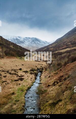 Carrifran Wildwood en fin d'hiver. Moffat Dale, Dumfries et Galloway, Écosse Banque D'Images