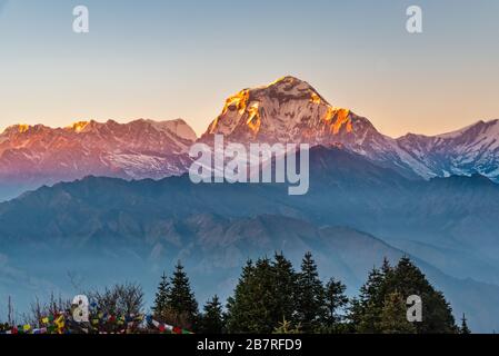 Belle vue sur le coucher du soleil sur la chaîne de montagnes Dhaulagirin de Poonhill ghorepani Népal Banque D'Images