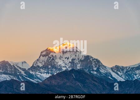 Magnifique lever de soleil embrassant sommet de montagne Dhaulagiri vue de Poonhill Ghorepani Népal Banque D'Images